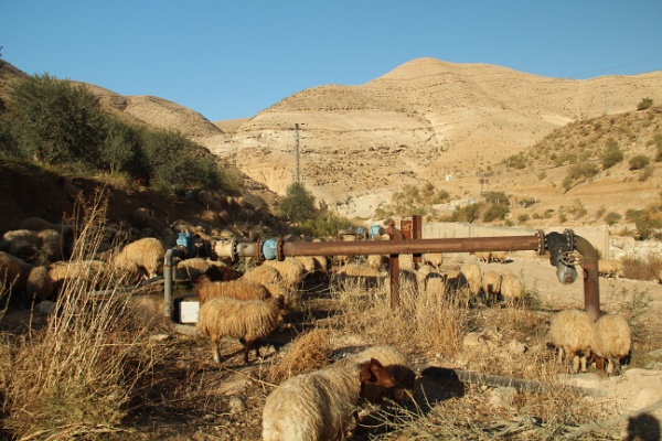 Wadi Wala (20).JPG